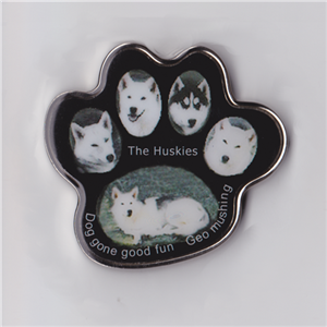2007 HuskiesPaw Front