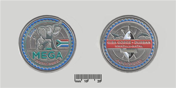 2014 Mega Silver