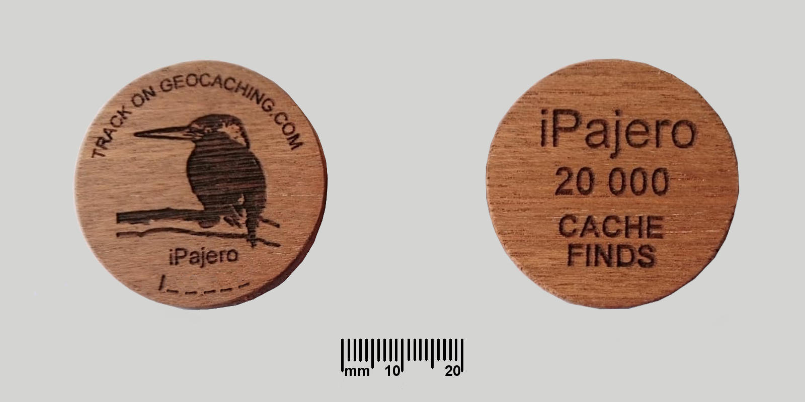 2019 IPajero WoodenCoin